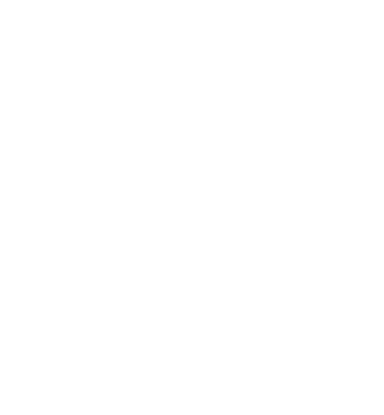 PT SANUR CONSULTING SERVICES